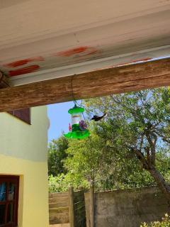 Cabaña en Playa La Serena - 8