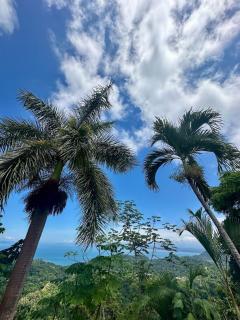 Brand New Luxe Condo - Amazing Ocean Views - Jacó - 6