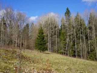 5 person holiday home in TENHULT JÖNKÖPING - 6