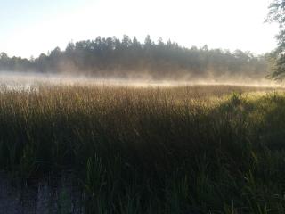 6 person holiday home in ÅSBRO-By Traum - 3