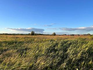 2 person holiday home in FALKENBERG-By Traum - 1