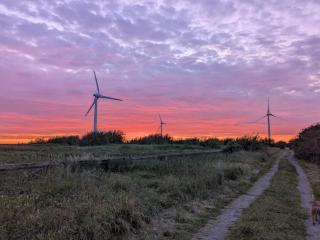 2 person holiday home in FALKENBERG-By Traum - 3