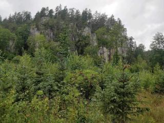 2 person holiday home in RIMFORSA - 1