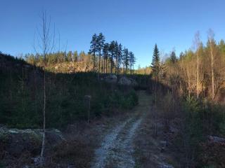 2 person holiday home in RIMFORSA - 6