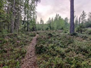 6 person holiday home in KOPPARBERG-By Traum - 6