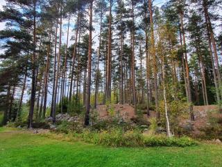 6 person holiday home in KOPPARBERG-By Traum - 3