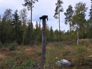 6 person holiday home in KOPPARBERG-By Traum - 4