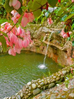 Puerto Quito Lodge - Las Iguanas - 5