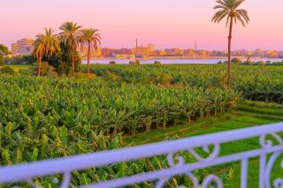 LUXOR DREAM - Panoramic Villa - 3