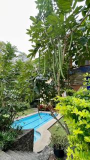 Hospedaje Los Pavo Reales - 8