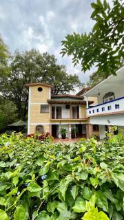 Hospedaje Los Pavo Reales - 3