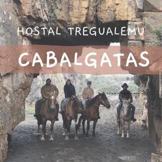 Hostal Tregualemu - 7