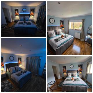 The Mountain Lake - 8