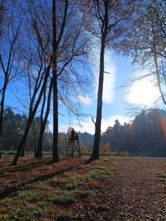 Domek w lesie,Nienawiszcz - 9