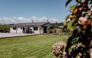 The Lilly Pad - Hokitika - 7