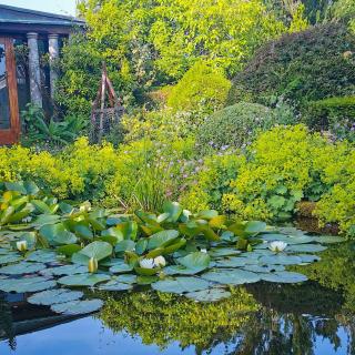 Kilmokea Coach House - 7