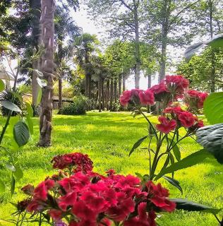 Château Arche d'Aure - 2