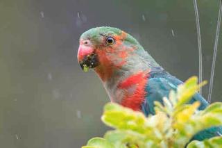 The Spa & Moon Retreat - 4