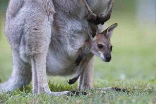 The Spa & Moon Retreat - 3