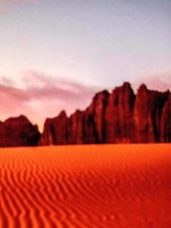 Rum Adventures Hostel - 2