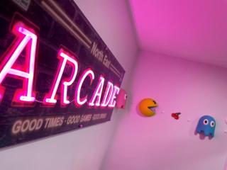 Lake Erie waterfront home with classic game arcade - 7