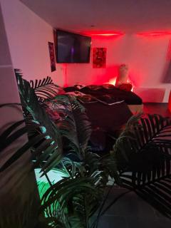 Ile des Plaisirs - Petit-Dejeuner Tropical - Chambres d'Hotes Adultes - 7