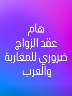 Golden Apartments - 9