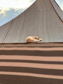 Sana Rum Luxury Camp - 9