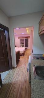 Fully furnished studio - 0