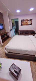 Fully furnished studio - 1