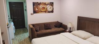 Fully furnished studio - 2