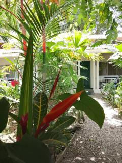 Hotel Exotic Lodge - Puerto Viejo - 0