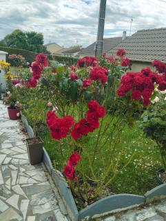 Nice apartment 1 hour from Paris and 45 minutes from Orléans - 6