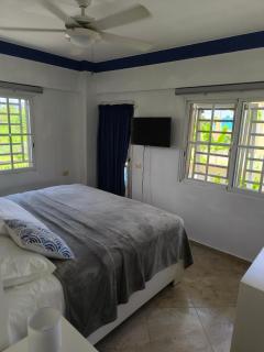 Las Palmeras RIKI R - 8