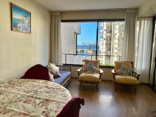 Acogedor depto con vista al mar - 9