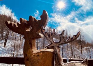 Charlotte Lodge 33 - 9