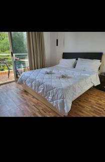 Beach front villa 1 - 1