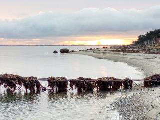 2 person holiday home in Otterup - 3