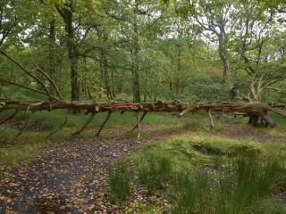 4 person holiday home in Fanø-By Traum - 8