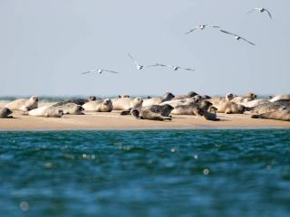 4 person holiday home in Fanø-By Traum - 7