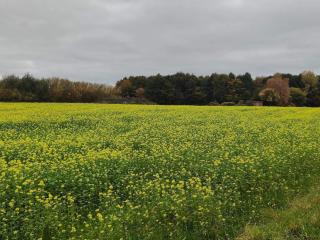 4 person holiday home in Stege-By Traum - 9