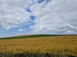 4 person holiday home in Stege-By Traum - 7