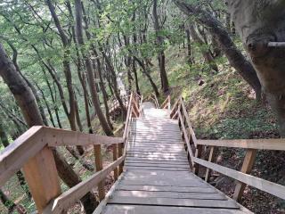 4 person holiday home in Stege-By Traum - 8