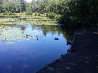 Luxury Spa Retreat by Golf - By Traum Ferienwohnungen - 1