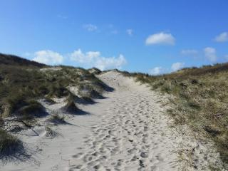 6 person holiday home in Ringkøbing - 5