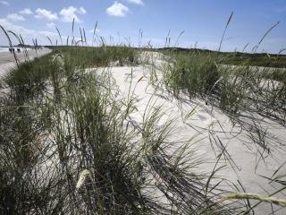 Luxury Spa Retreat by Golf - By Traum Ferienwohnungen - 8