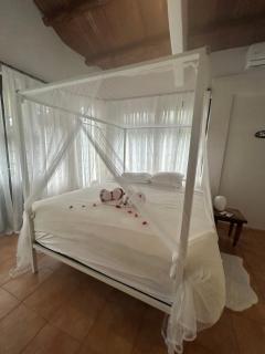 Luxury Penthouse suite in Altos del Maria - 3