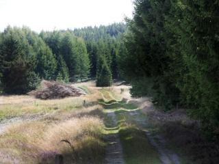 4 person holiday home in Hampen - 1