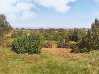 Seaside Retreat with Spa - By Traum Ferienwohnungen - 9