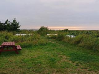 4 person holiday home in Skjern - 2